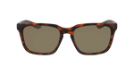 DRAGON BAILE LL POLAR | MATTE DARK TORTOISE | LL BROWN POLAR