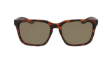 DRAGON BAILE LL POLAR | MATTE DARK TORTOISE | LL BROWN POLAR