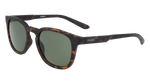 DRAGON FINCH LL | MATTE TORTOISE | LL G15 Sunglasses