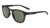 DRAGON FINCH LL | MATTE TORTOISE | LL G15 Sunglasses