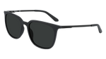 Dragon Ziggy LL Sunglasses MATTE BLACK | LL SMOKE
