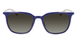 Dragon Ziggy LL Sunglasses | SHINY EGGPLANT | LL BROWN GRADIENT